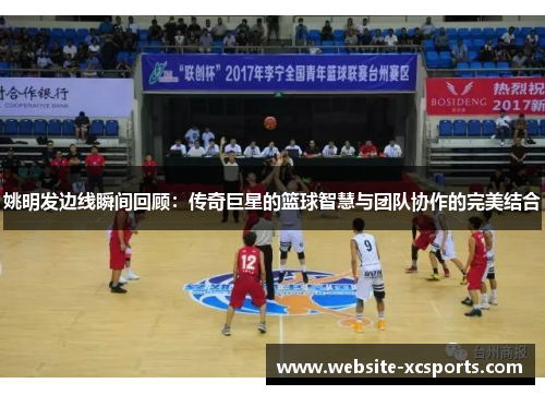 姚明发边线瞬间回顾：传奇巨星的篮球智慧与团队协作的完美结合