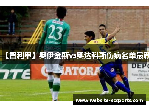 【智利甲】奥伊金斯vs奥达科斯伤病名单最新