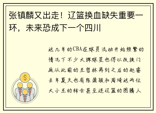 张镇麟又出走！辽篮换血缺失重要一环，未来恐成下一个四川